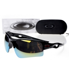 Oakley Glasses-0985